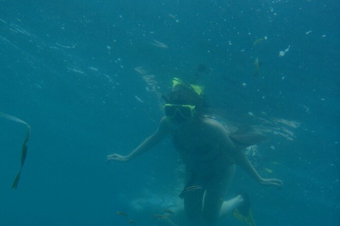 Full Day Cahuita Snorkel and Sloth Sanctuary From Puerto Viejo De Limón - Meeting and Pickup