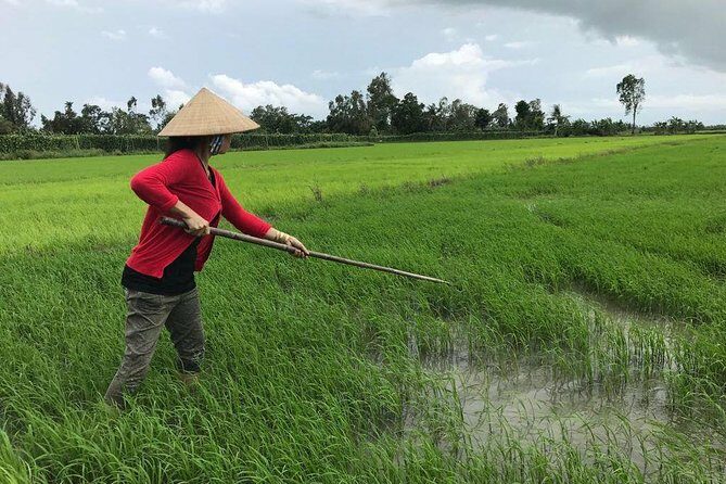 FULL Day - CAI RANG FLOATING MARKET, COOKING CLASS AND EXPLORE THE COUNTRYSIDE - Final Thoughts