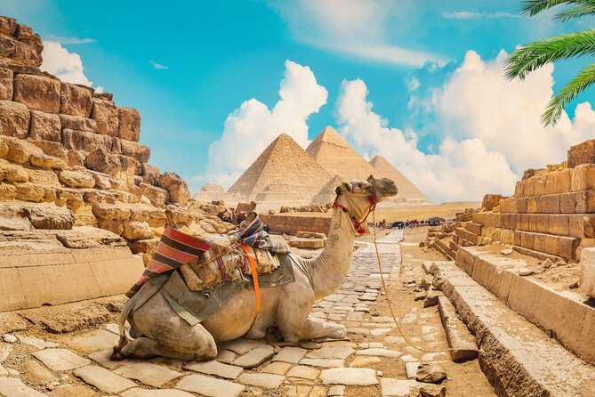 Full Day Cairo Guided Tour Pyramids and Museum, Lunch - Hurghada - Visit the Egyptian Museum