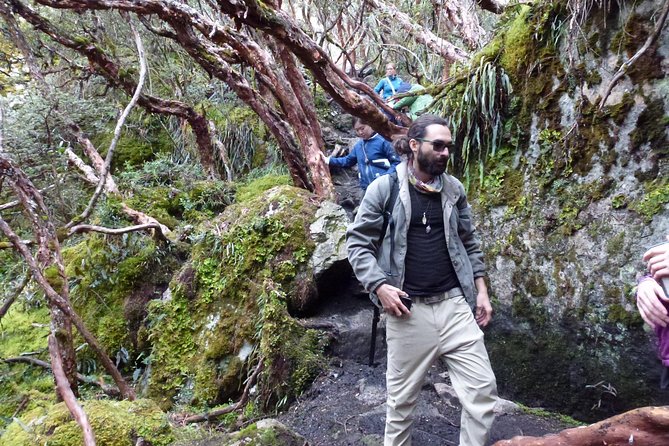Full-Day Cajas N. Park and Cuenca CityTour - Cajas National Park Highlights