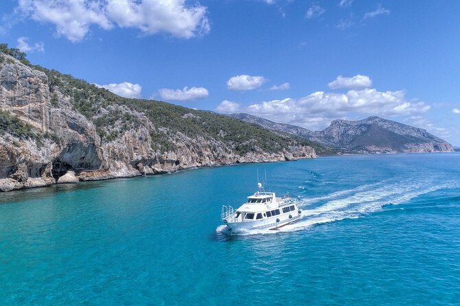 Full Day Cala Gonone and Gulf of Orosei Mini Cruise - Accessibility and Participation