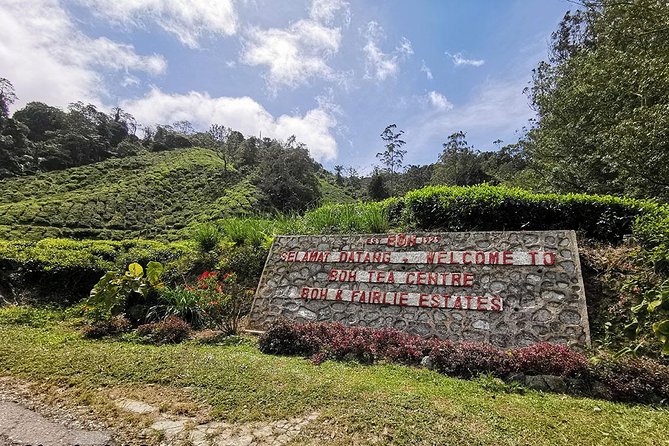 Full-Day Cameron Highlands & Batu Caves Tour - Tour Logistics