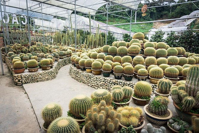 Full-Day Cameron Highlands & Batu Caves Tour From Kuala Lumpur - Pricing and Policies