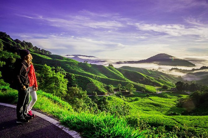 Full-Day Cameron Highlands Day Trip From Kuala Lumpur - Inclusions and Exclusions