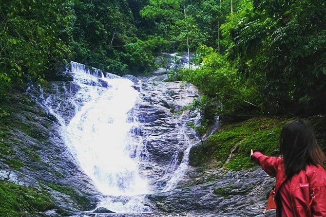 Full-Day Cameron Highlands Day Trip From Kuala Lumpur - Accessibility and Suitability