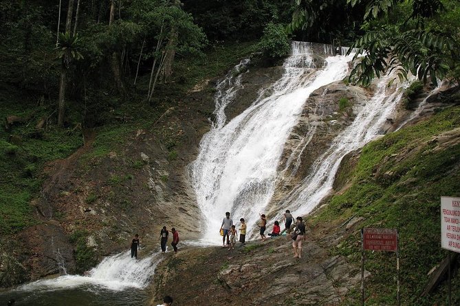 Full-Day Cameron Highlands Day Trip From Kuala Lumpur - Customer Reviews and Ratings
