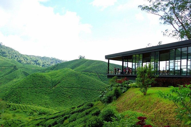 Full-Day Cameron Highlands Day Trip From Kuala Lumpur - Recommended Related Activities