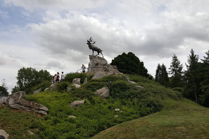 Full-Day Canadian WW1 Vimy and Somme Battlefield Tour From Arras - Tour Experience and Reviews