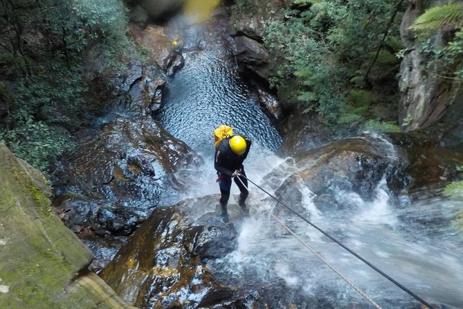 Full-Day Canyoning Experience at Stunning Empress Canyon - Highlights of the Days Activities