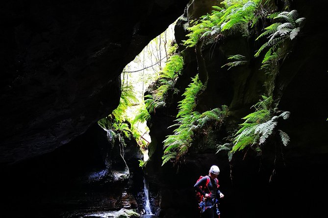 Full-Day Canyoning Experience at Stunning Empress Canyon - Traveler Reviews and Feedback