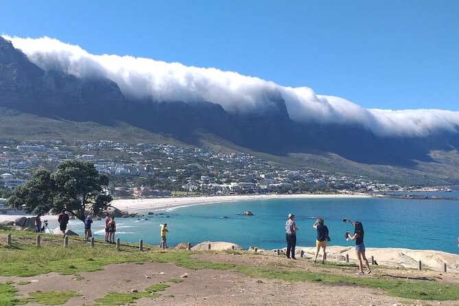 FULL Day Cape of Good Hope and Boulders Penguin Colony - Highlights