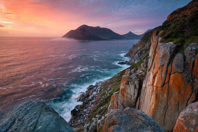 FULL Day Cape of Good Hope and Boulders Penguin Colony - Scenic Chapmans Peak Drive