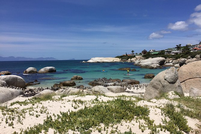 Full Day Cape Peninsula Motorcycle Tour on a Royal Enfield - Scenic Ride to Cape Peninsula