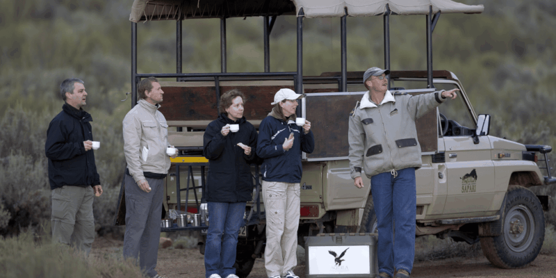 Full Day Cape Town Safari - Scenic Journey