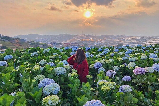 Full Day Car Tour Excursion Dalat ( Minimum 4 Pax) - Key Points