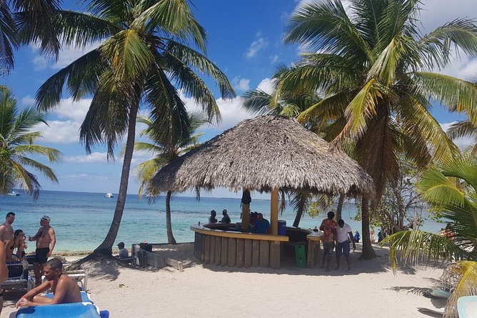 Full Day Caribbean Catalina Island With Snorkeling - Highlights and Activities