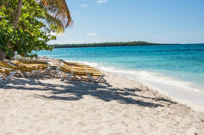 Full-Day Catalina Island Scuba Diving Tour From La Romana - Underwater Marine Life