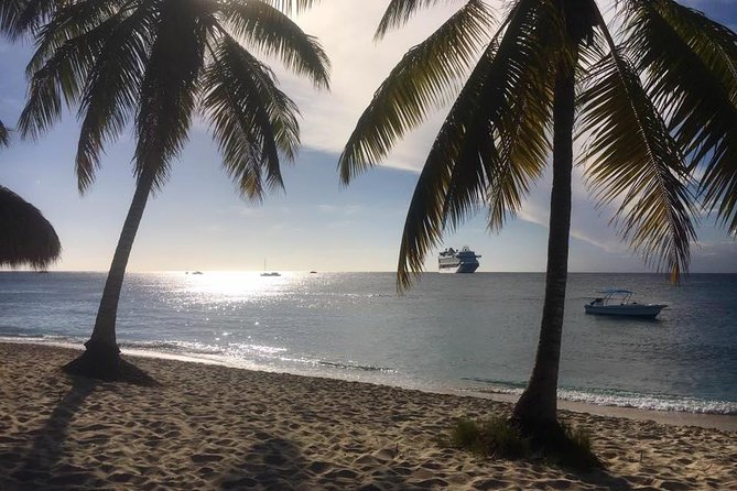 Full-Day Catalina Island Scuba Diving Tour From La Romana - Dining and Refreshments