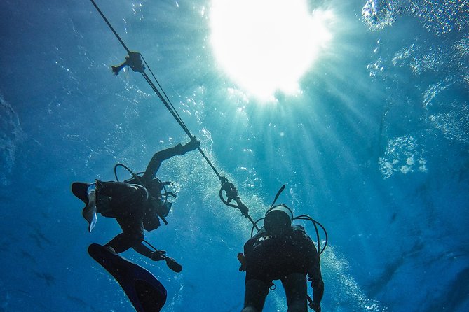 Full-Day Catalina Island Scuba Diving Tour From La Romana - Diving Equipment and Safety