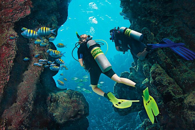 Full Day Catalina Island Tour With Transportation From the Airport to Hotel - Booking Flexibility
