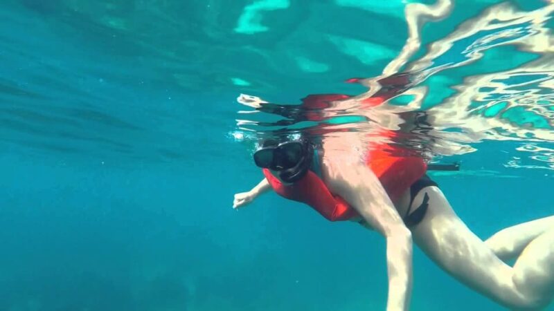Full-Day Catalina Island With Scuba Diving - Key Points