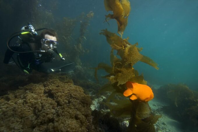 Full-Day Catalina Island With Scuba Diving - Additional Details