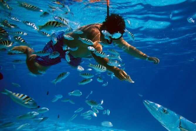 Full-Day Catamaran Cozumel Tour With Sky Snorkeling and Club - Key Points