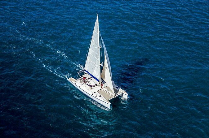 Full Day Catamaran Private Tour in Grenada - The Sum Up