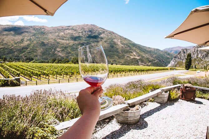 Full-Day Central Otago Food & Wine Tour - Winery Experiences