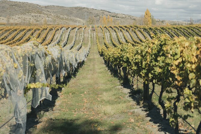 Full-Day Central Otago Food & Wine Tour - Additional Details