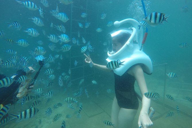 Full-Day Cham Islands Cruise From Hoi an With Underwater Walking Excursion - Activities and Inclusions