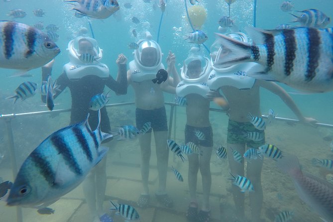 Full-Day Cham Islands Cruise From Hoi an With Underwater Walking Excursion - Customer Feedback and Experiences
