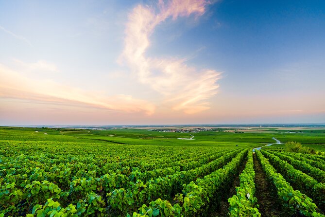 Full Day Champagne Pommery Small Group Tour - Traveler Reviews and Feedback
