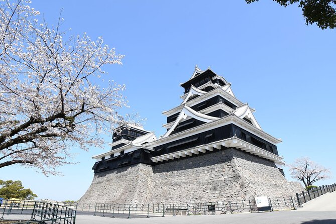 Full Day Charter Bus Private Tour in Kumamoto and Asakura - Inclusions