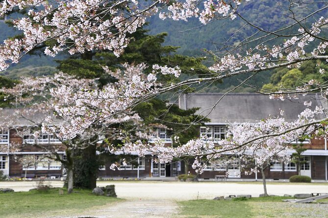 Full Day Charter Bus Private Tour in Kumamoto and Asakura - Pickup and Dropoff