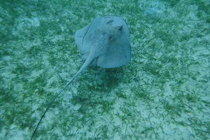 Full Day Charter From Fajardo to Culebra - Included Amenities and Offerings
