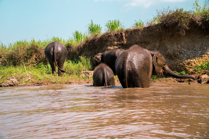Full Day Chauffeur Driven Tuk Tuk Adventure in Chiang Mai Including Rafting - Bamboo Rafting and Forest Waterfall