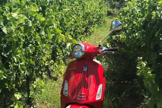 Full-Day Chianti Tour by Vespa Scooter From San Gimignano - Passenger Requirements
