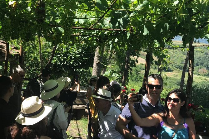 Full-Day Chianti Tour by Vespa Scooter From San Gimignano - Weather Policies