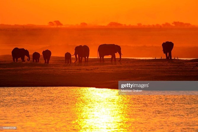 Full Day Chobe National Park Big 5 Safari - Inclusions and Logistics