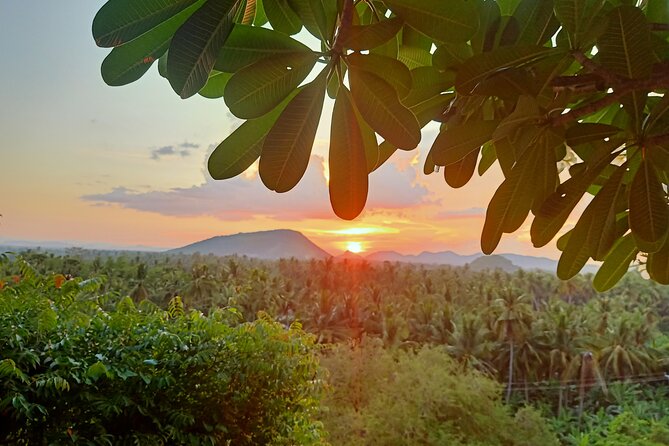 Full Day - City, Countryside, Old Bamboo Train, Secret Bat Cave - Tour Details