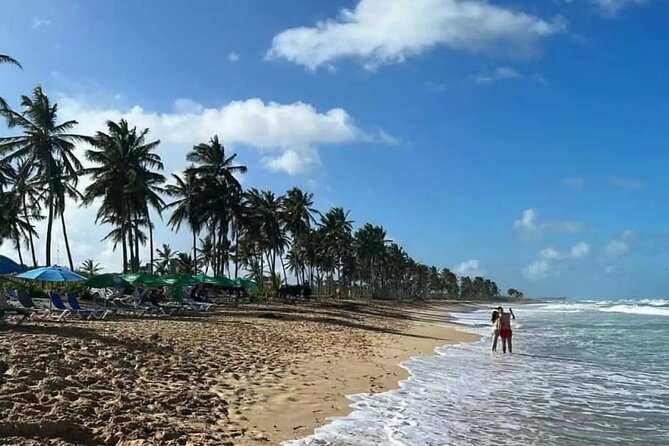 Full Day City Tour of Punta Cana - Inclusions and Amenities