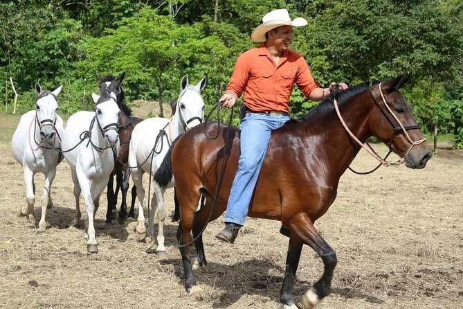Full Day Class II-III Rafting, Waterfall Hike and Horse Back Riding From La Fortuna-Arenal - Pickup and Meeting Details