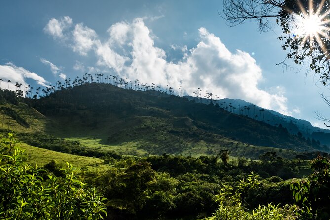 Full Day Climbing the Cocora Valley With Lunch - Itinerary and Journey