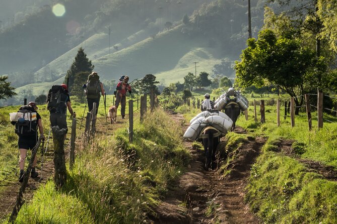 Full Day Climbing the Cocora Valley With Lunch - Preparation and Recommendations