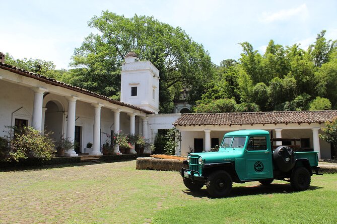 Full Day Coffee Guided Tour in Coatepec - Coffee Tasting Experience