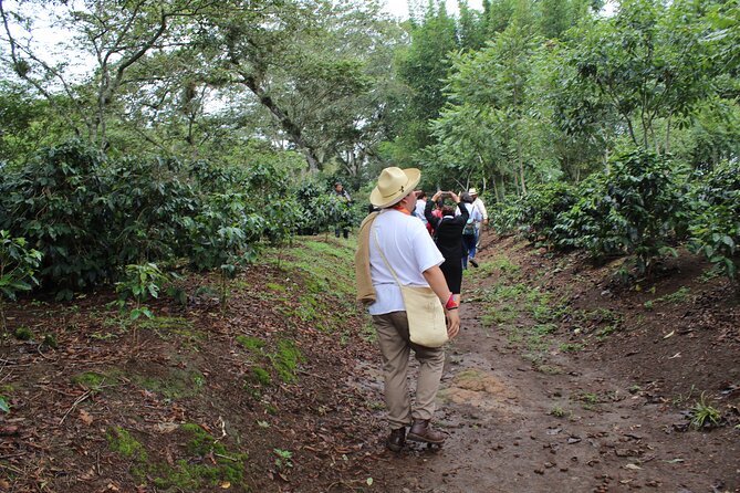 Full Day Coffee Guided Tour in Coatepec - Exploring Coatepec