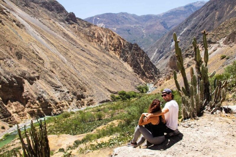 Full-Day Colca Canyon Tour From Arequipa - Key Points