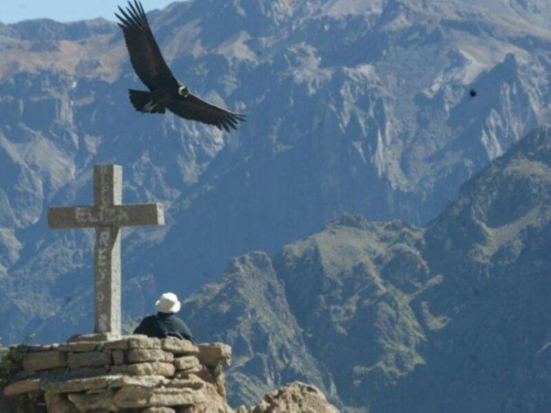 Full-Day Colca Canyon Tour From Arequipa - Inclusions and Exclusions