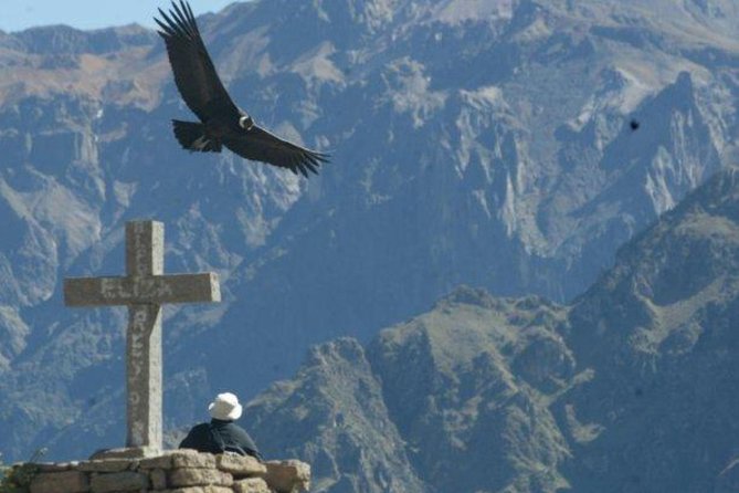Full Day Colca Canyon With Entrances From Arequipa - Witnessing the Majestic Landscape